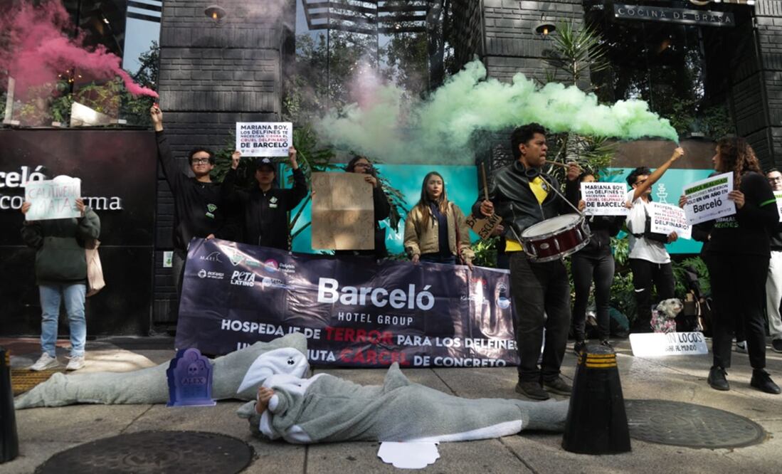 Activistas en Barceló Reforma pidieron a la titular de la Profepa cerrar el delfinario de Barceló Riviera Maya, tras el maltrato que se observa en un video que circuló en redes sociales. Foto: Carlos Mejía/EL UNIVERSAL