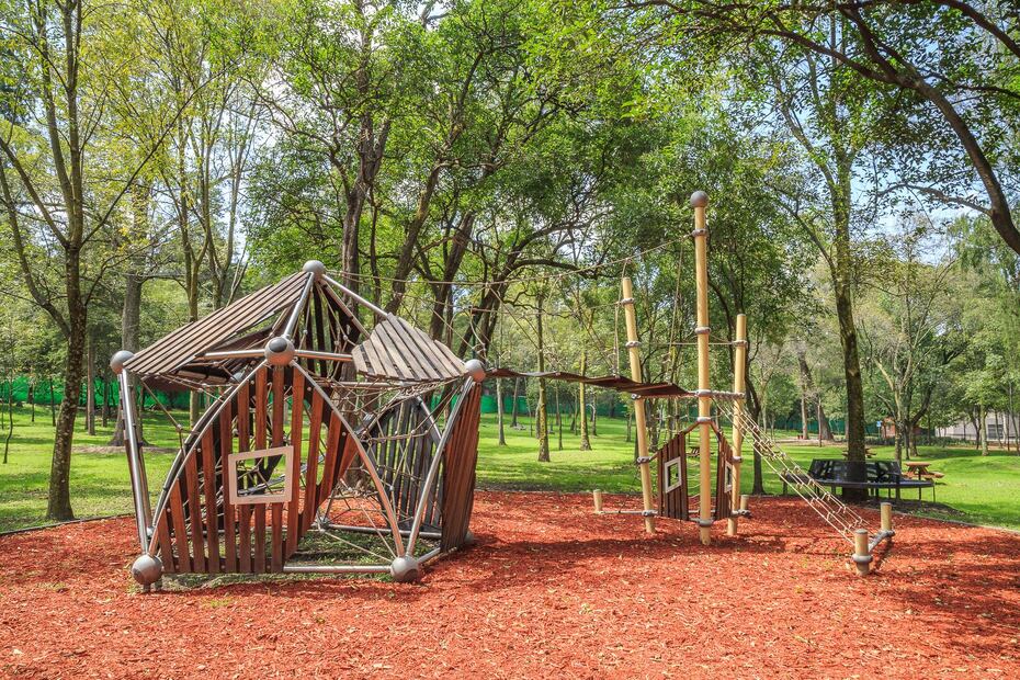 Foto: Facebook Bosque de Chapultepec