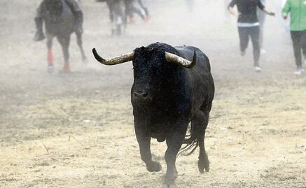 Muere joven tras ser embestido por un toro en Kanasín, Yucatán