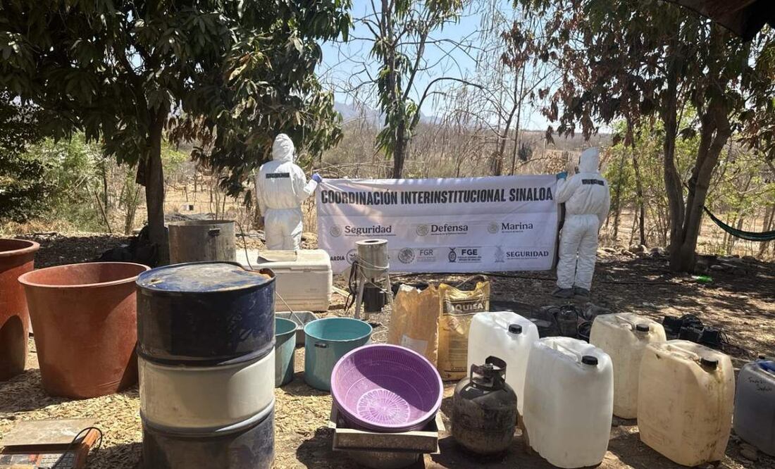 Desmantelan 20 laboratorios clandestinos en 3 municipios de Sinaloa; aseguran precursores químicos y sólidos