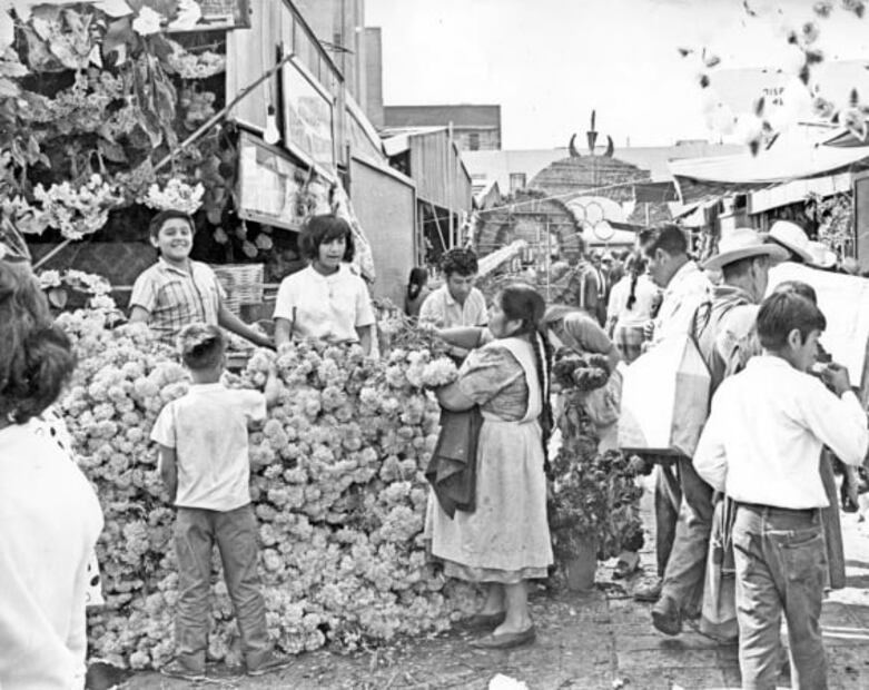 La flor que acompaña a nuestros difuntos