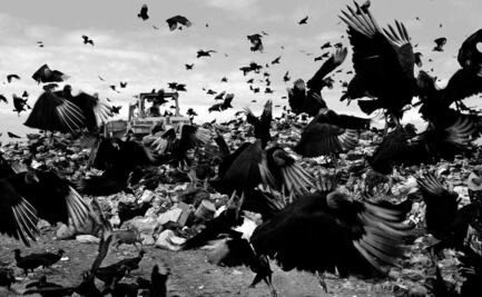 La Ciudad de México a través de la poesía y del tiempo, en un libro