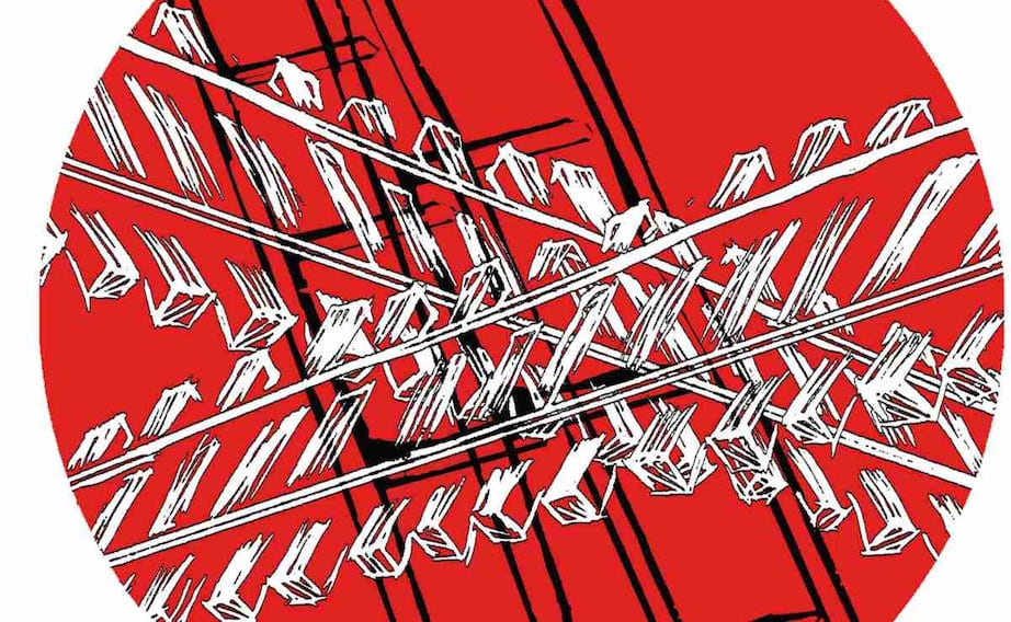 Salvador García Soto