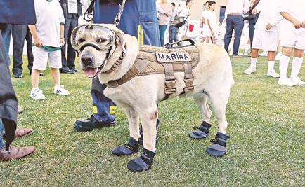 Fake news. Frida (no) viaja al volcán de fuego de Guatemala