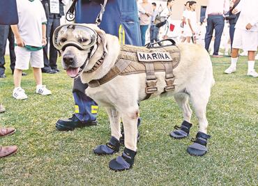 Fake news. Frida (no) viaja al volcán de fuego de Guatemala