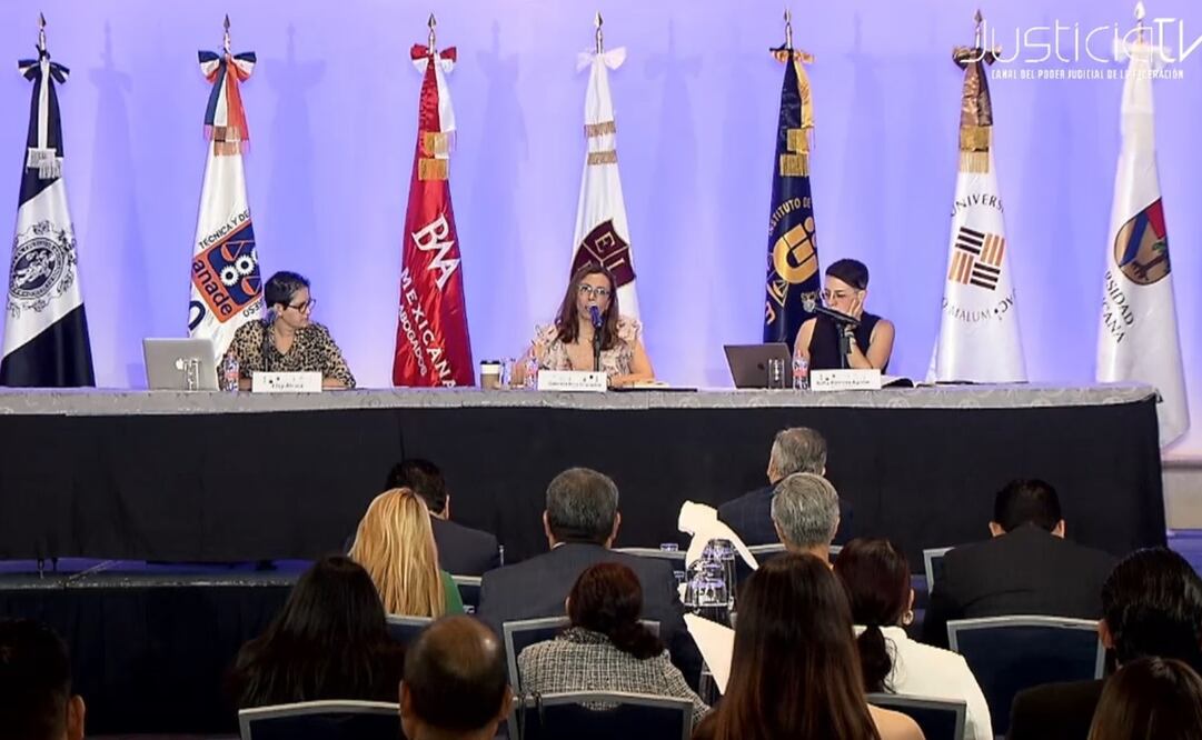 Seminario de Seguridad y Justicia, Estado de Derecho y Política Fiscal en México. Foto: Captura de pantalla