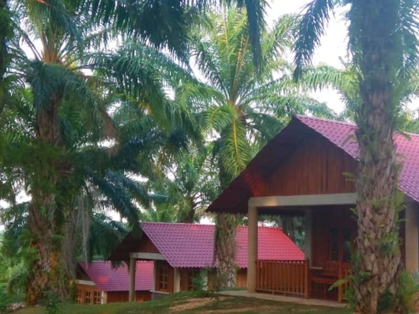 Kan Tasejkan, un balneario natural con cabañas y aventura en Veracruz