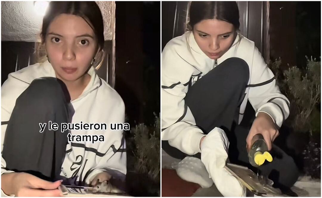 El video donde una titkoker libera a un ratón de una trampa se volvió viral rápidamente. Fotos: @sampavon_