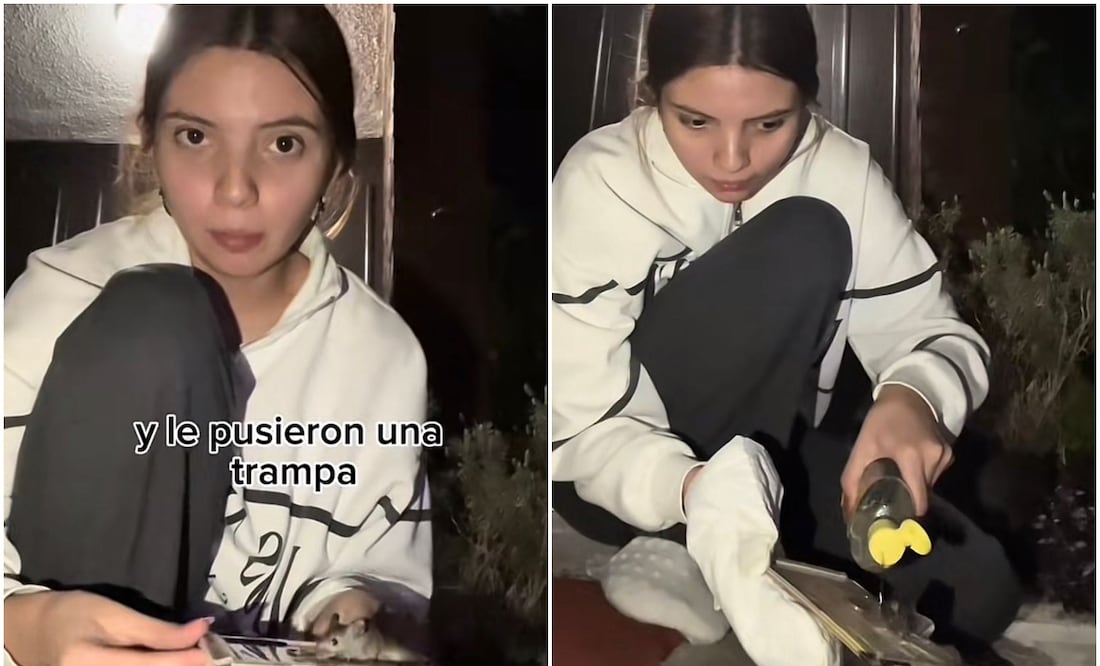 El video donde una titkoker libera a un ratón de una trampa se volvió viral rápidamente. Fotos: @sampavon_