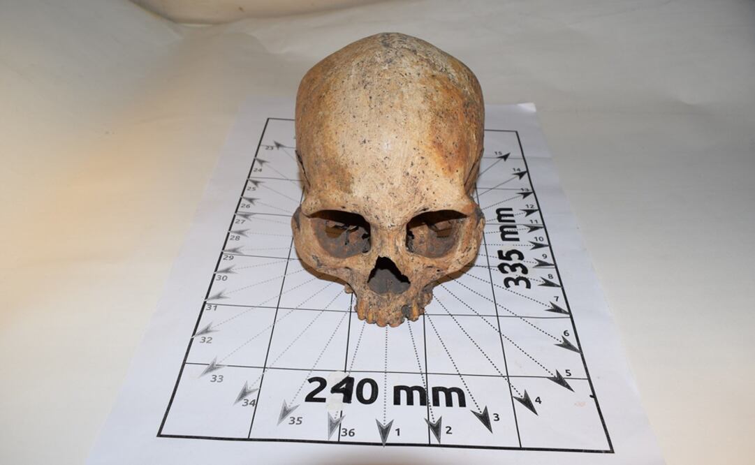 Foto: EFE/Cícero Moraes