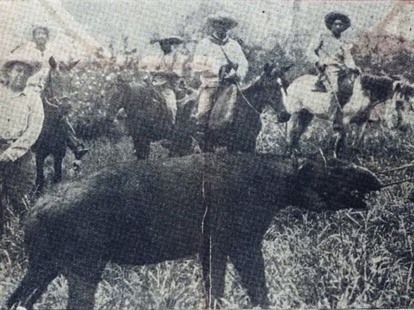 Los cazadores de ayer y hoy