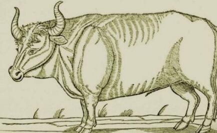 Cuando los nazis intentaron “resucitar” animales extintos