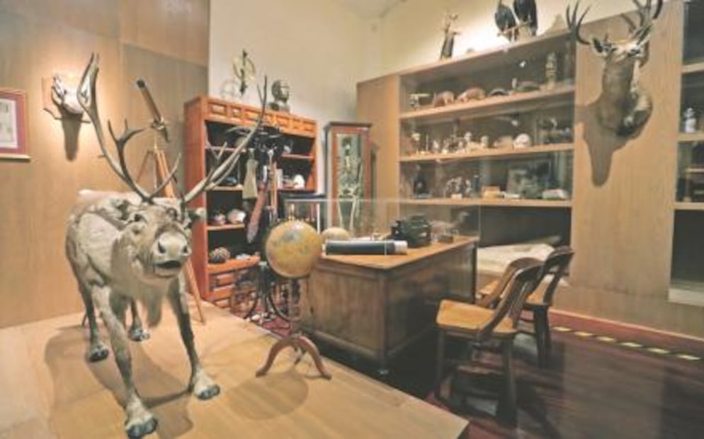 Entre ciencia y arte, 150 años de cuidar la Historia Natural