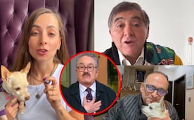 Famosos reaccionan contra Pedro Sola por desafortunados comentarios sobre las mascotas