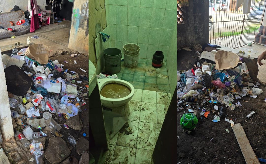 Rescatan a dos menores por maltrato y abandono en Valladolid, Yucatán; autoridades activan protocolos de protección.
Foto: Especial.