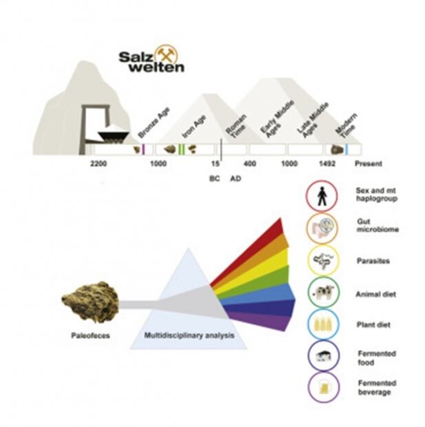 El estudio de heces prehistóricas demostró que austríacos se alimentaban con queso azul y cerveza desde hace 2 mil 700 años