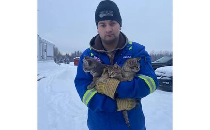 Empleado de petrolera rescata a gatitos que se congelaban en Canadá