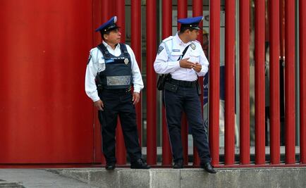 Instituto de Formación Policial podrá evaluar a otras instancias