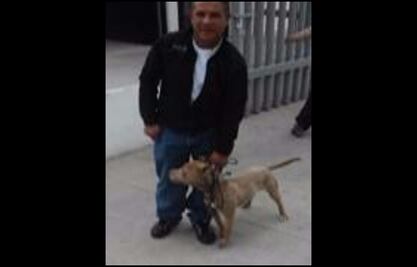 Salvan a perro de ser sacrificado en San Luis Potosí