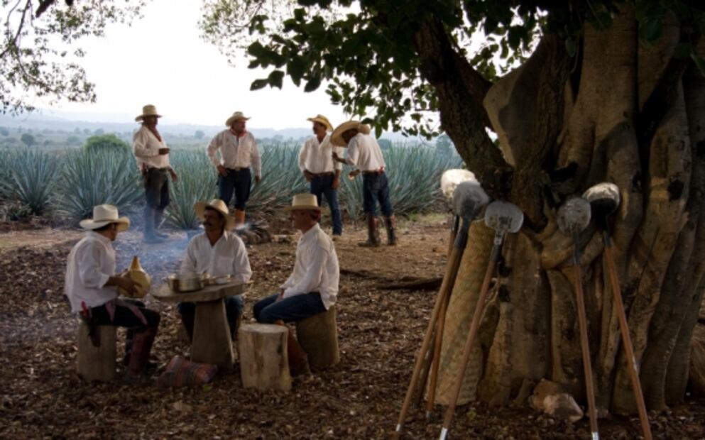 Guía de viaje al Pueblo Mágico de Tequila