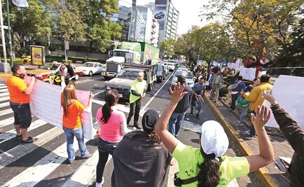 Acusan nueva tala por deprimido en Mixcoac