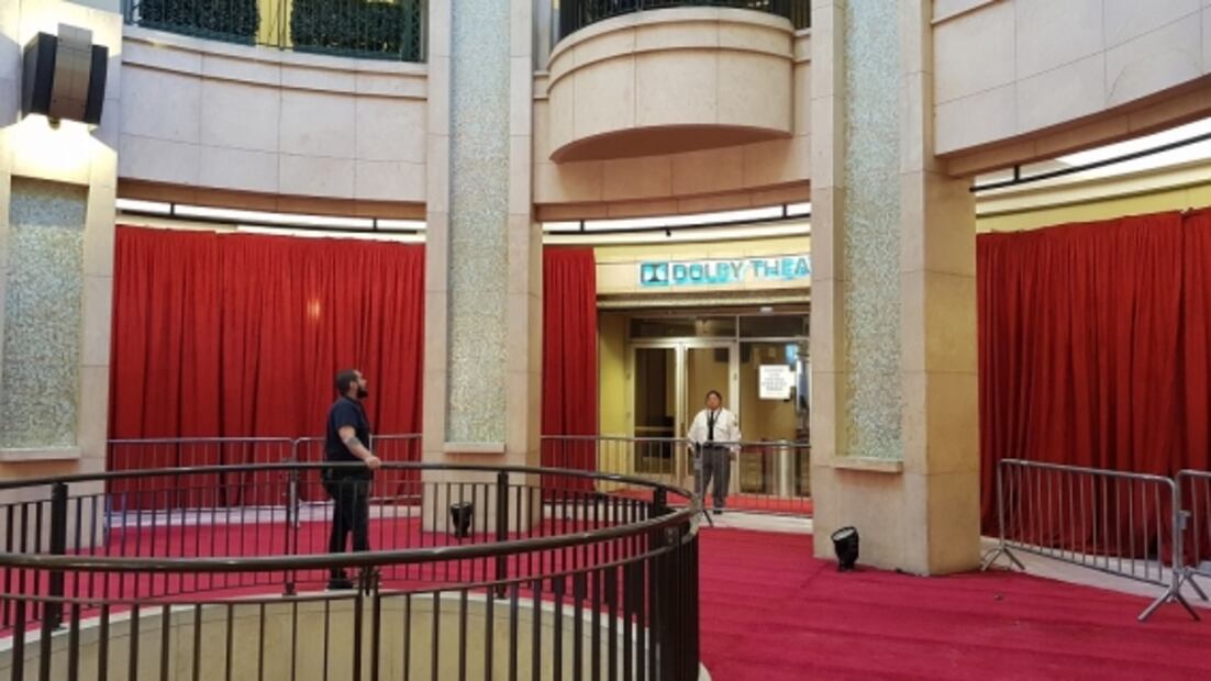 La alfombra de los Oscar 2020 es para los fans