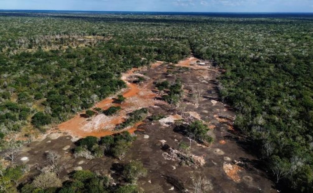 Profepa clausura predio en Kinchil, Yucatán, por cambio ilegal de uso de suelo forestal para almacenamiento de abono (06/01/2026). Foto: Especial