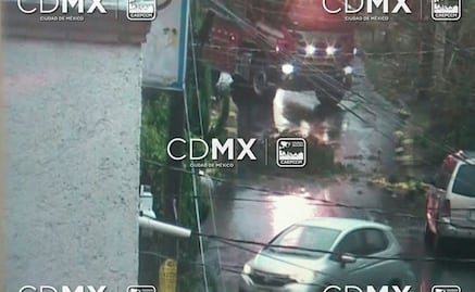 Atienden bomberos de la CDMX 18 árboles caídos y 14 encharcamientos