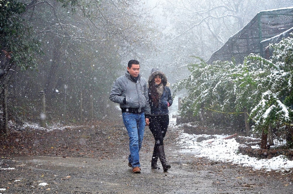 En San Pedro Garza García, Nuevo León, la caída de aguanieve en la meseta de Chipinque, donde hay un parque ecológico, motivó la visita de cientos de paseantes, quienes disfrutaron del panorama, pese al frío ambiente (EMILIO VÁSQUEZ. EL UNIVERSAL)