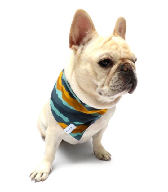 Regalos de Navidad con mucho estilo para tu perro