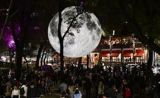 Filux 2026: Regresa el Festival Internacional de la Luz a la CDMX; presenta la exposición “Solo la luz, primavera”  