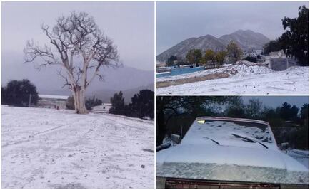 Reportan caída de nieve en municipios de Zacatecas