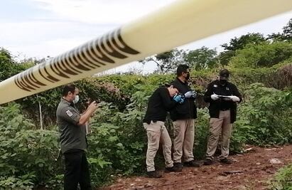 Fin de semana violento en Sinaloa: reportan 7 asesinatos y dos lesionados en varios hechos 