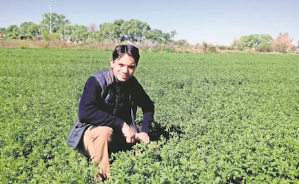 "Ningún partido representa ideales de sus militantes"