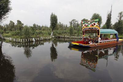 Chefs internacionales debaten en Xochimilco sobre la gastronomía en defensa de la biodiversidad