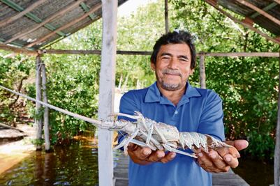 “En tres meses se recupera la producción”, dicen pescadores tras paso de Beryl en Quintana Roo