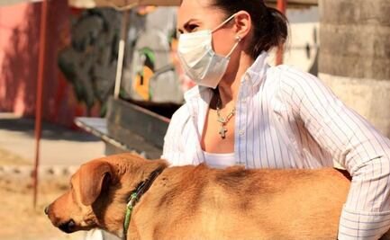 Aprueban hasta cinco años de prisión por maltrato animal en Guanajuato