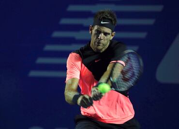 Del Potro, la estrella principal en el Abierto de los Cabos