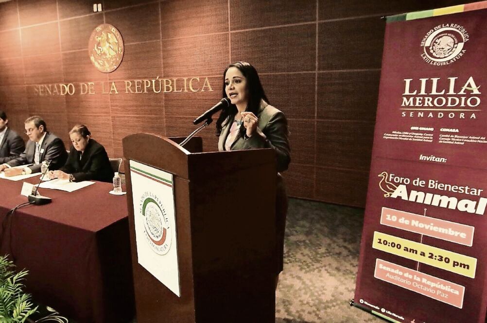 Legisladores del PRI, PRD y PVEM se sumaron a la propuesta de la senadora Lilia Merodio (PRI) para concretar una ley general en favor de los animales (ARIEL OJEDA. EL UNIVERSAL)