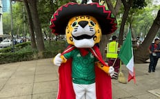 Mundial: poco interés, pero alta expectativa económica