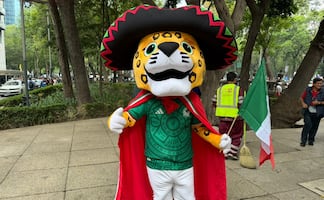 Mundial: poco interés, pero alta expectativa económica
