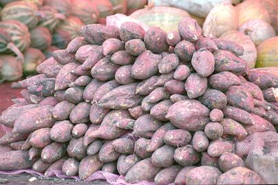 Super alimentos mexicanos que debes incluir en tu dieta