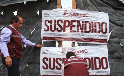 Ecatepec multará a constructora de Línea 4 del Mexibús por tala de árboles