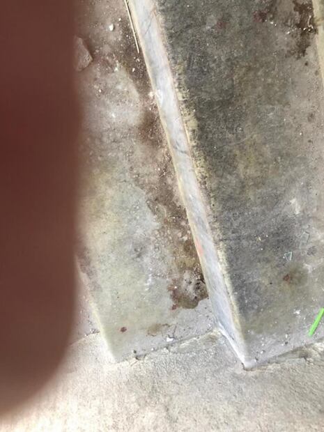 Sangre, voces y miedo en la vecindad de Cuba 86…