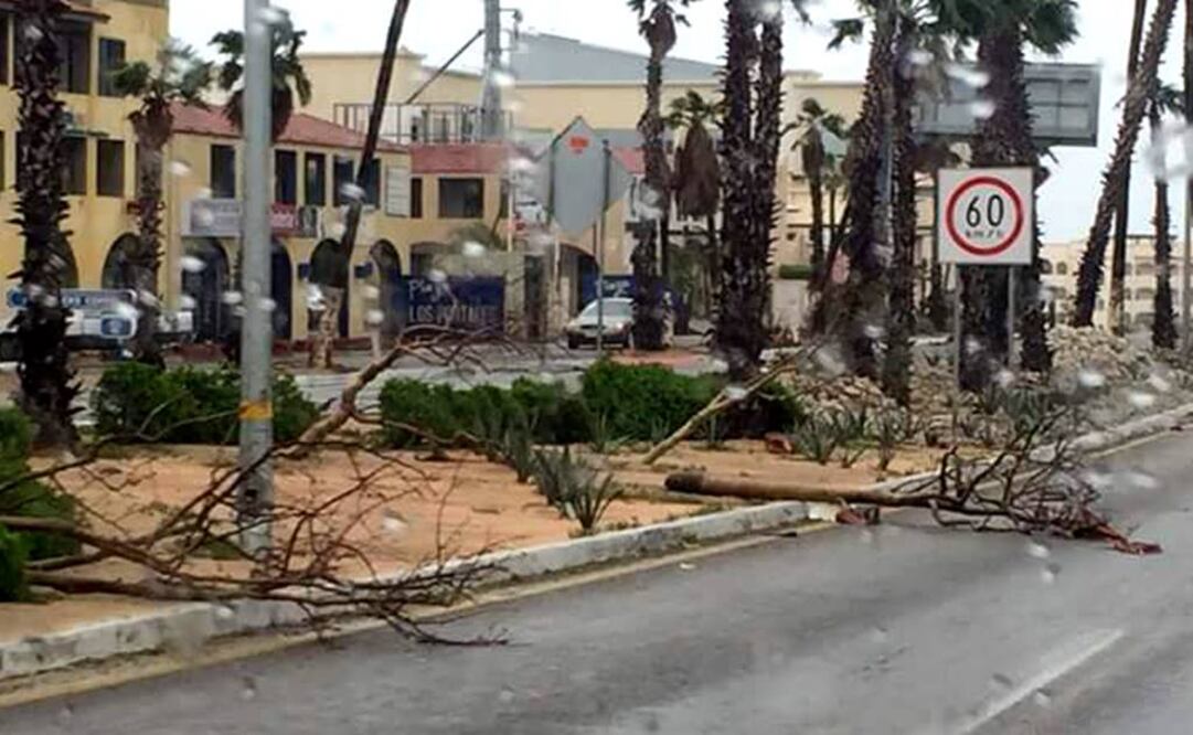 Foto: Gladys Rodríguez / EL UNIVERSAL