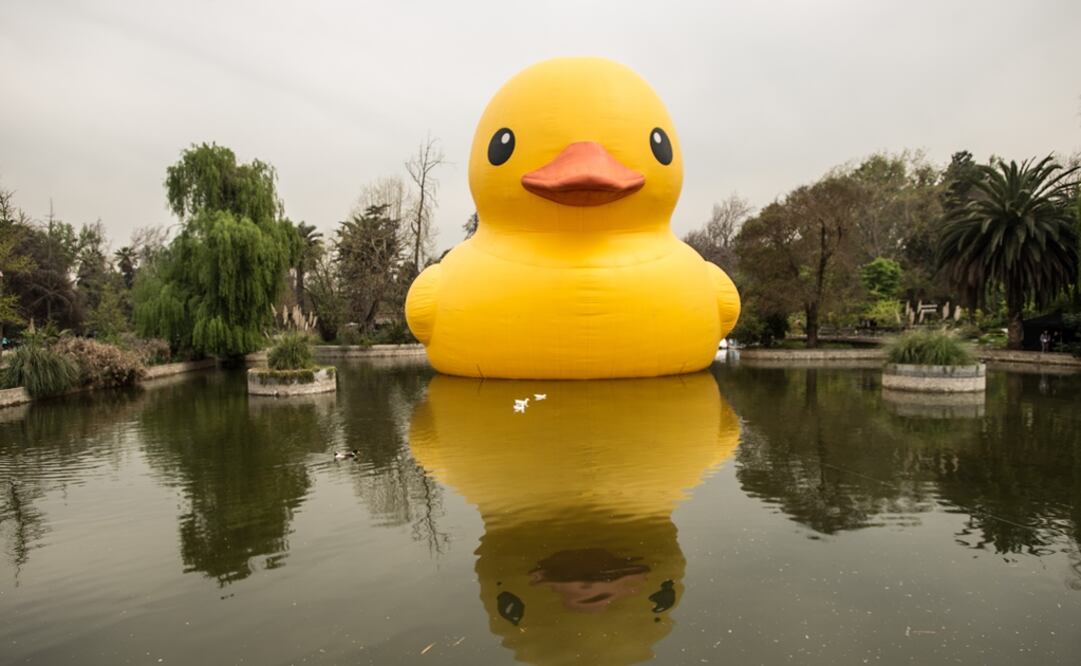 Foto: Xinhua /Jorge Villegas