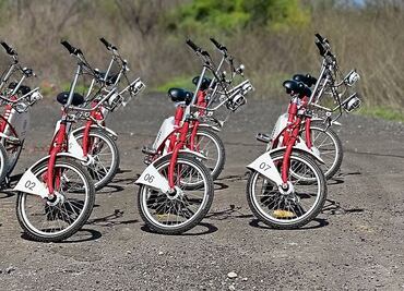 Donan 100 unidades de Ecobici al parque del Lago de Texcoco