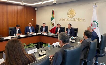 Senadores proponen que gobierno se encargue de seguridad en estadios; exigen medidas a la Liga Mx