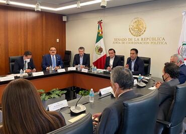 Senadores proponen que gobierno se encargue de seguridad en estadios; exigen medidas a la Liga Mx