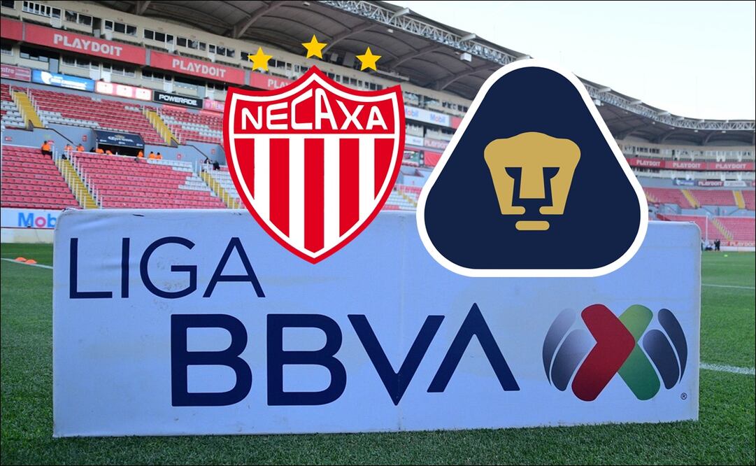 Necaxa recibe a Pumas en la jornada 14 / Foto: Especiales